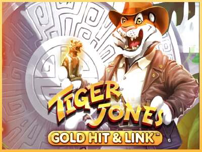 Gold Hit & Link: Tiger Jones ເຄື່ອງໂມ້ອອນໄລນ໌ສໍາລັບການເງິນ