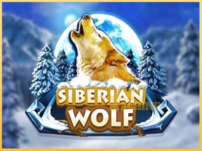 Siberian Wolf ເຄື່ອງໂມ້ອອນໄລນ໌ສໍາລັບການເງິນ