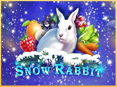 Snow Rabbit ເຄື່ອງໂມ້ອອນໄລນ໌ສໍາລັບການເງິນ